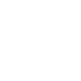 Icon5