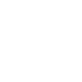 Icon8