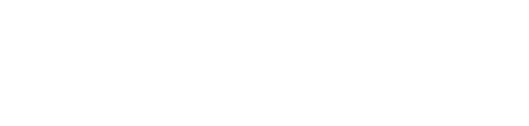 Logo footer